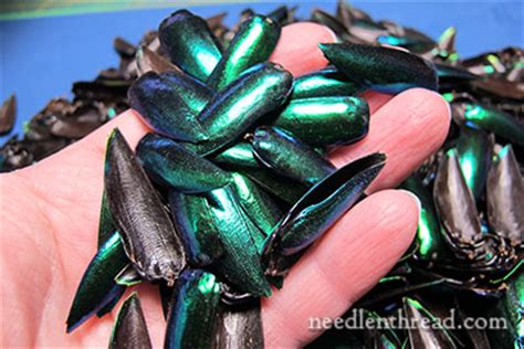 Beetle Wings! Beetle Wings! Beetle Wings! – NeedlenThread.com