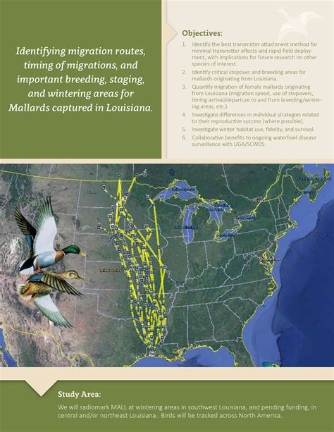 Duck Migration Map 2019