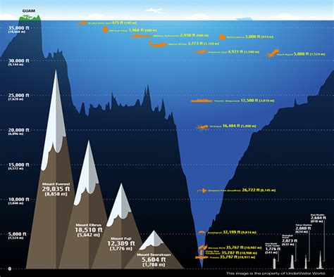 10 Years of Science and Stewardship in Pacific Marine National ...