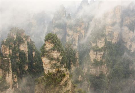 Zhangjiajie National Park, China. Avatar Mountains Stock Image - Image ...