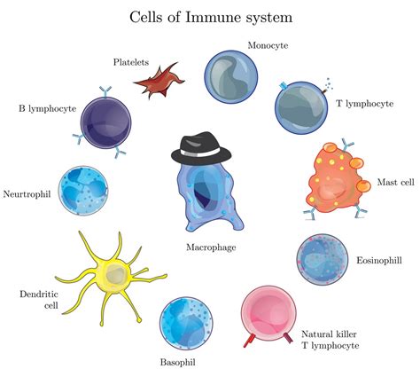 Measles and the Immune System: The Surprising Truth - NDs For Vaccines