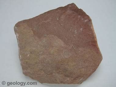 Siltstone: A sedimentary rock made up of silt-size particles