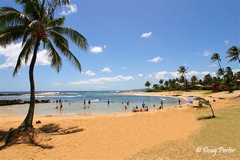 Poipu Beach - Poipu Beach Vacation Rentals - Poipu Condos