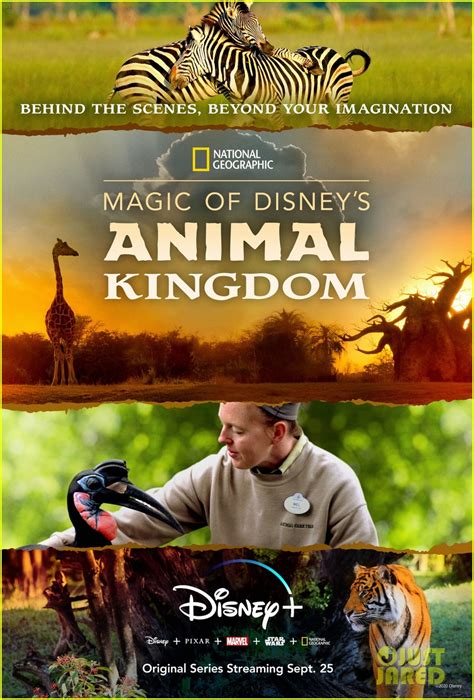 Disney+ To Take Fans Behind-The-Scenes of Walt Disney World's Animal ...