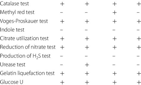 enterobacter aerogenes biochemical tests