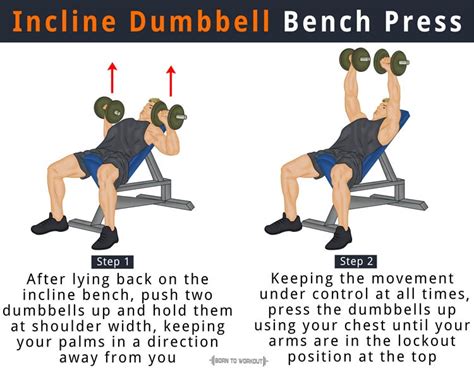 Incline Bench Press: How to do, Benefits, Forms, Muscles Worked