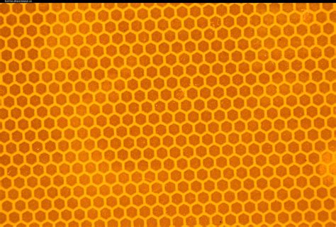 Free photo: Beehive texture - Abstract, Sugar, Pollen - Free Download ...