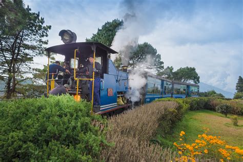 Darjeeling Toy Train: History, Experience and All Useful Information