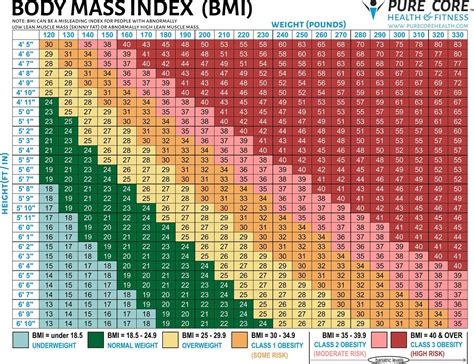 Body mass index chart for adults – Telegraph