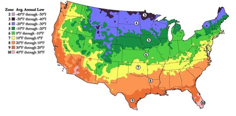 Fig Tree Growing Zones Map - Sibby Dorothee