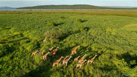 Akagera National Park - Africa Geographic