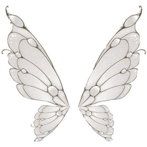 two white wings on a white background