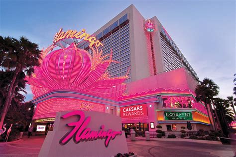 Flamingo Las Vegas Hotel & Casino (C̶$̶4̶5̶) C$23 - UPDATED 2022 Prices ...