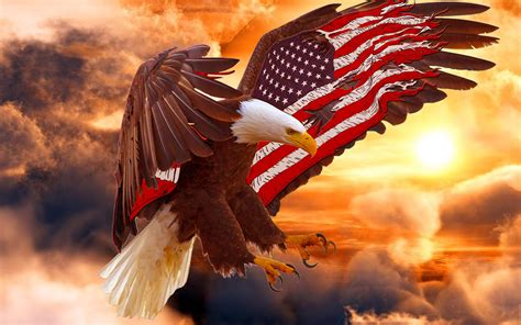 Bald Eagle Wallpaper - American Flag Bald Eagle (#113443) - HD ...