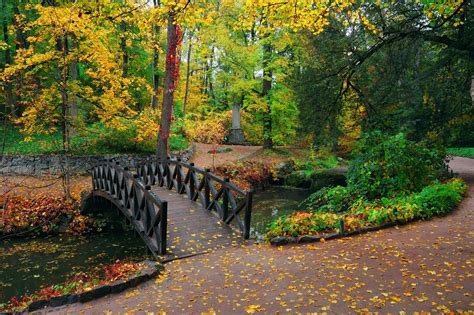 Pequeño puente entre el bosque en otoño | wallpaper hd ultra