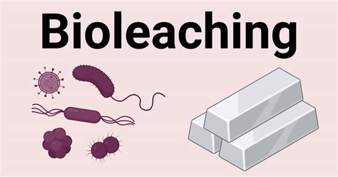 Bioleaching: Microorganisms, Types, Factors, Applications