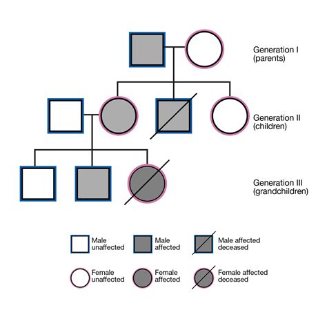 How To Make Your Own Pedigree Chart - Best Picture Of Chart Anyimage.Org