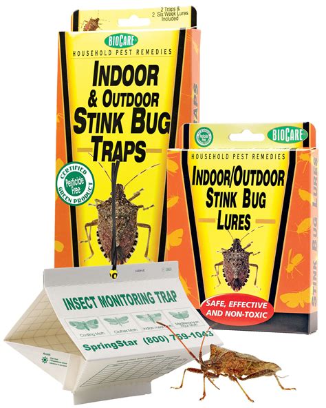 Stink Bug Traps and Lures, Set of 2 | Stink bugs, Bug trap, Stink bug trap