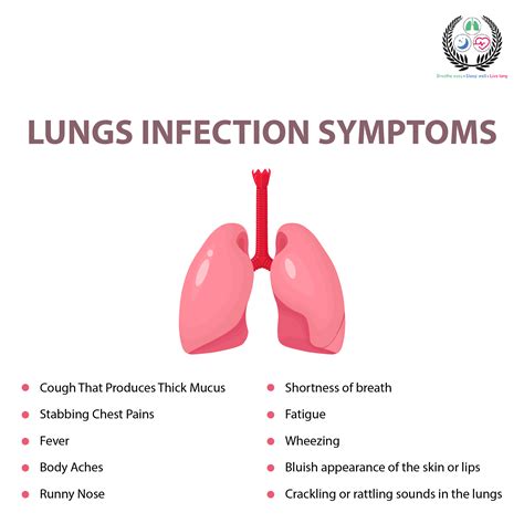 Lung Infection: Types, Symptoms, Treatment Guide