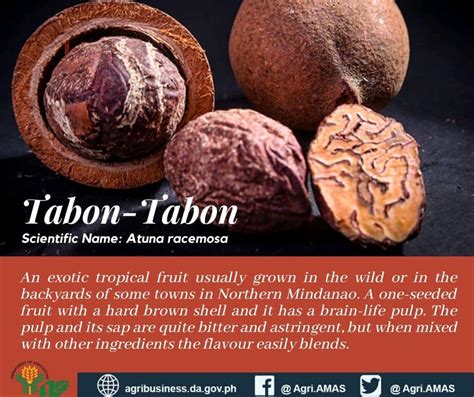 TABON-TABON Well known as the... - DA Agribusiness - AMAS