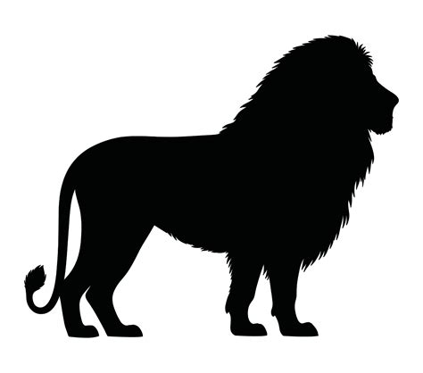 Vector, isolated silhouette of african lion. 37368439 Vector Art at ...