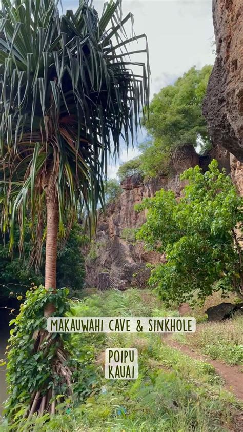 Makauwahi cave & sinkhole Poipu Kauai | Poipu kauai, Kauai, Travel ...