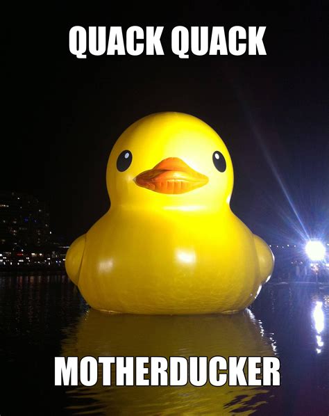 [Image - 556050] | Big Yellow Duck | Know Your Meme