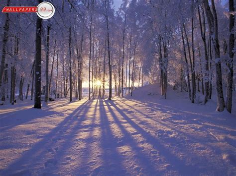 Free Winter Scene Wallpapers - Wallpaper Cave | Winter landscape ...