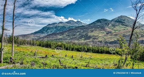 Scenic View of Green Mountains in Kenai National Wildlife Refuge, Kenai ...