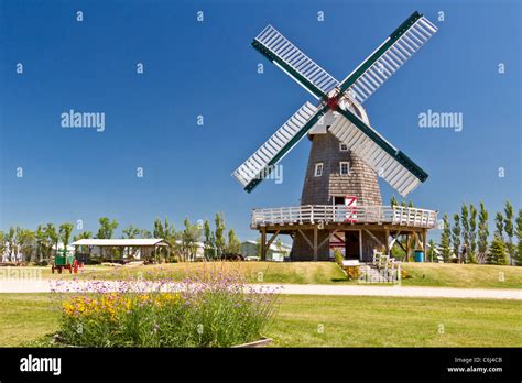 A windmill used for grinding grain into flour at the Mennonite Heritage ...