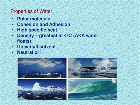 Properties Of Water Worksheet Biology – Englishworksheet.my.id