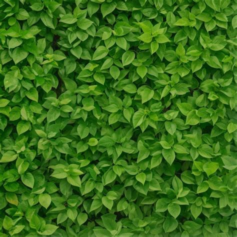 Seamless Leaf Texture Background | Premium AI-generated image