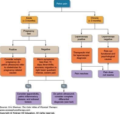 Chronic Pelvic Pain Syndrome | AccessMedicine Network