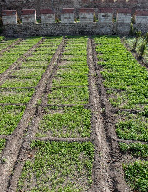 Spring field growing sprouted agricultural crops 14511189 Stock Photo ...