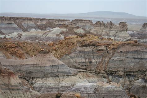 Petrified Forest National Park - The Tumbling Nomads