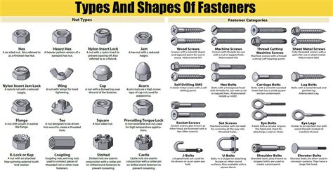 Types And Shapes Of Fasteners, Nuts, Screw Head, And washers ...