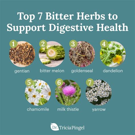 Top 7 Bitter Herbs to Support Digestive Health | Digestive bitters ...