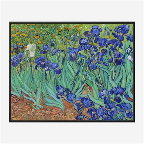 Irises 1889 by Vincent Van Gogh Art Print