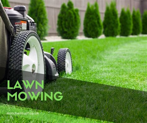 Lawn Mowing Tips - Mitchell Turf