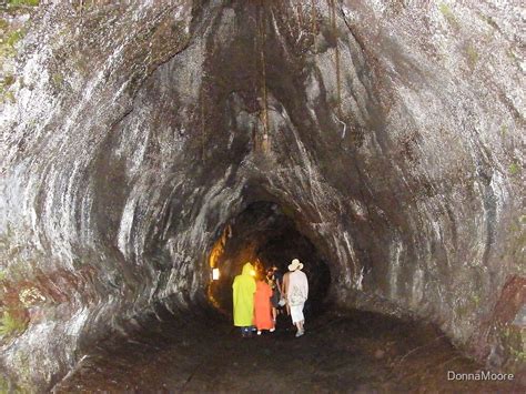 "Thurston Lava Tube, Hawaii Volcanoes National Park" by DonnaMoore ...