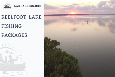 Reelfoot Lake Fishing: Best Packages, Spots, and More - Lake Access