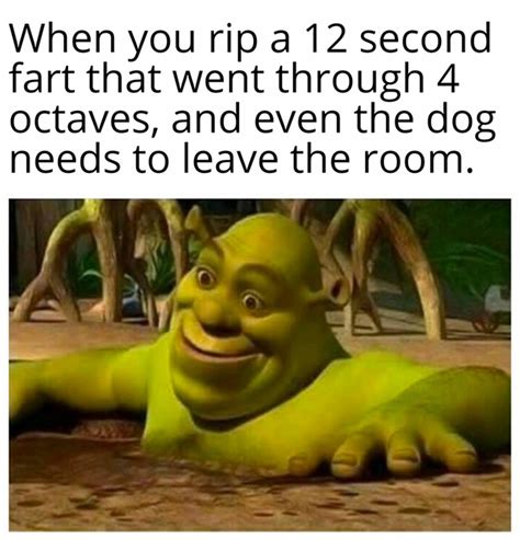 150+ Funny Shrek Memes For True Ogres (And Donkeys) – FandomSpot