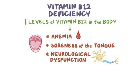 Vitamin B12 Deficiency: Symptoms Treatment Cerascreen, 58% OFF