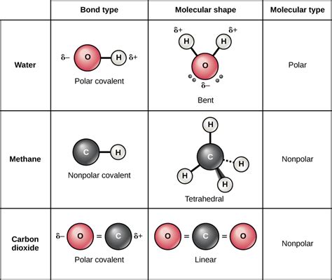 Single Covalent Bond Vs Double Covalent Bond