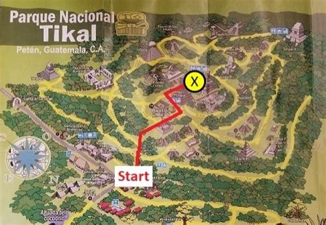 Self-Guided Walking Tour of Tikal - Tikal Purple Travel Guide