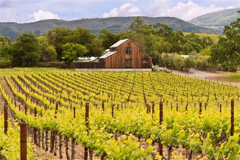 15 Best Napa Valley Wine Tours - The Crazy Tourist