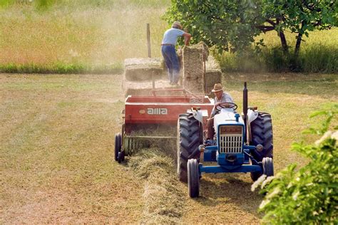 Hay Farming Essentials: A Comprehensive Guide to Growing Hay