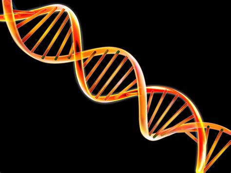 🔥 [50+] DNA Double Helix Wallpapers | WallpaperSafari