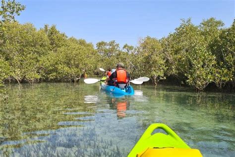 Kayaking Eastern Mangroves Abu Dhabi [2024 Guide] | Abu Dhabi Travel ...