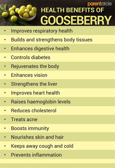 Gooseberry Health Benefits, Medicinal Uses, Nutrition Value and ...